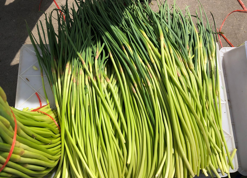 同样是黄心菜区别为啥那么大,买蒜苔红头的好还是绿头的好