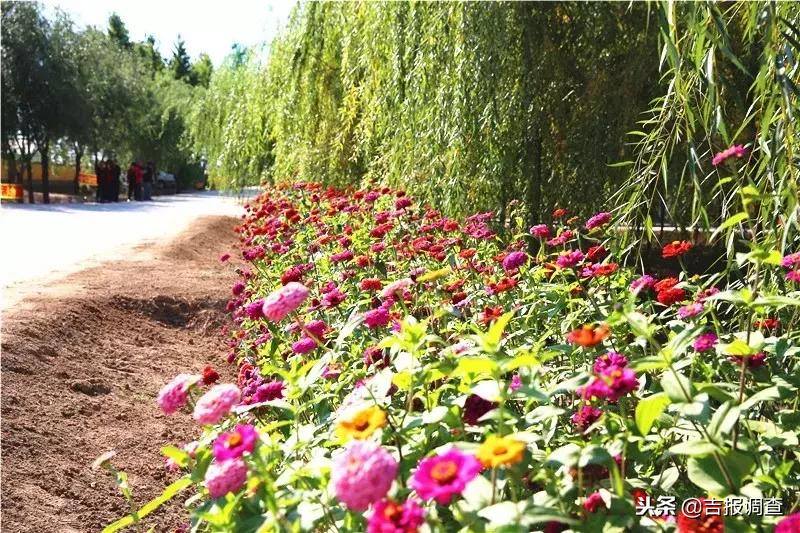 有关如何实现乡村振兴的范文,如何使自己家乡实现乡村振兴目标