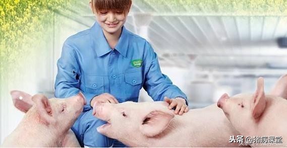 详述猪子宫炎的诊断及治疗措施