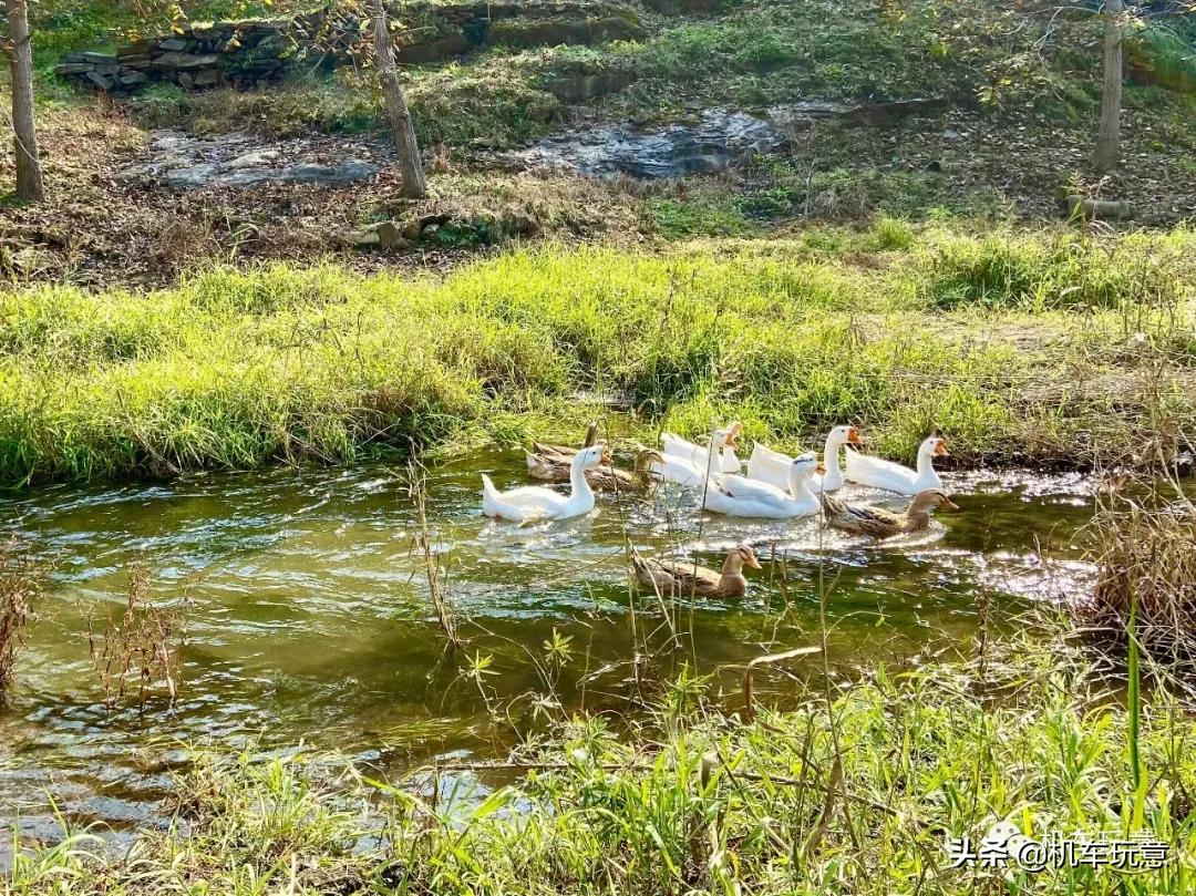 （文字版）「帝都经典跑山路线」岁与今朝似网红，车友江湖范崎路