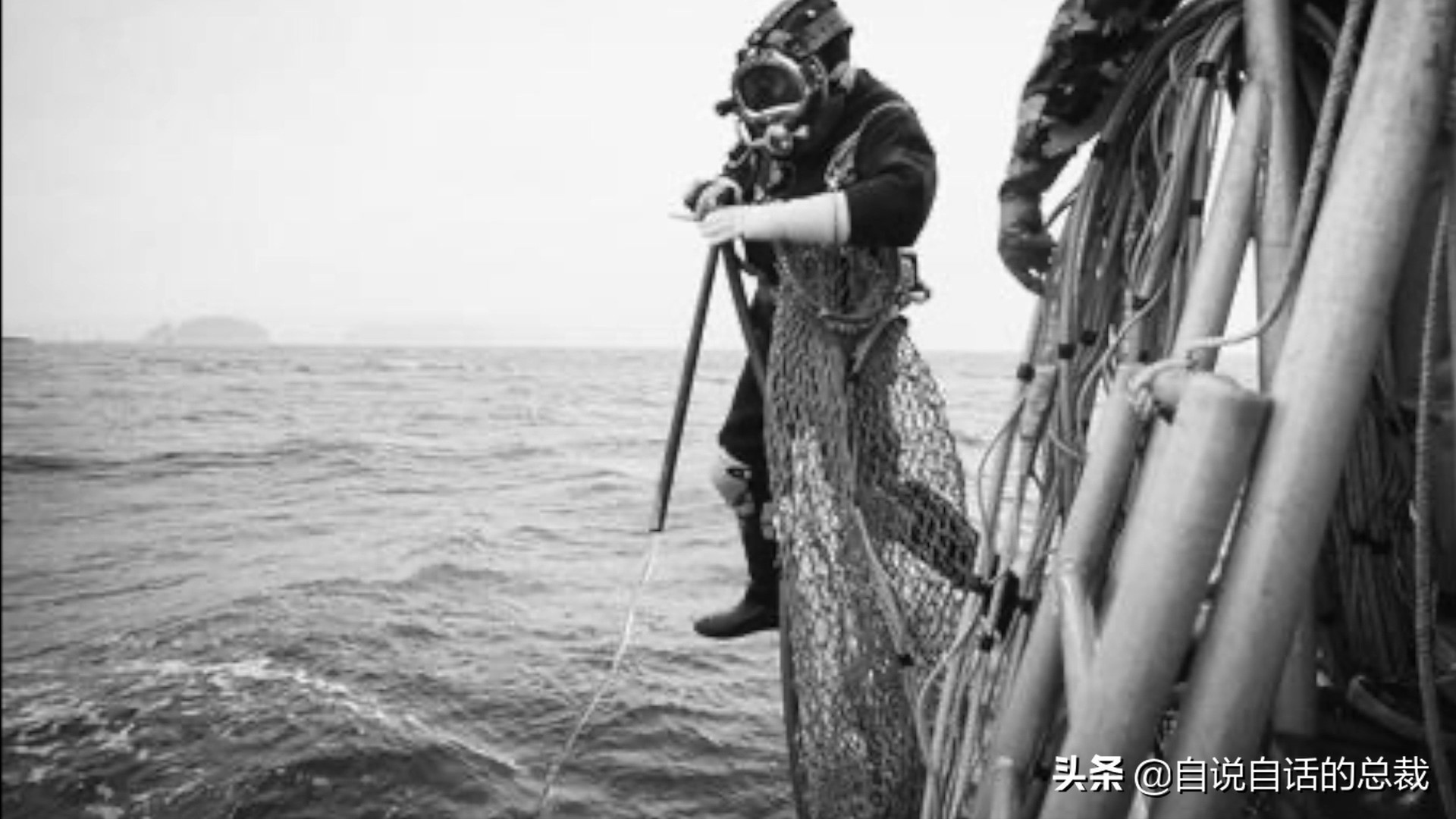 蛤、蚶、蛏、蚝、蚬有什么区别？这是一群美味海怪与人类的故事