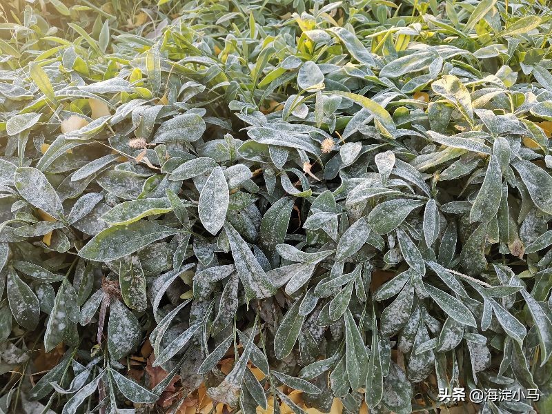 老师找家长了怎么办,老师找家长家长怎么推脱