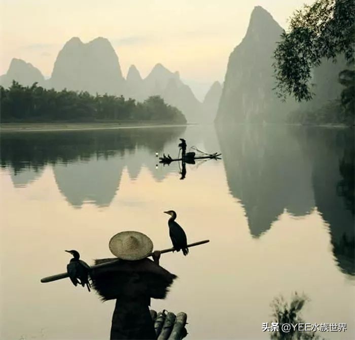 鱼鹰老人：可不可以，不要忘了我们