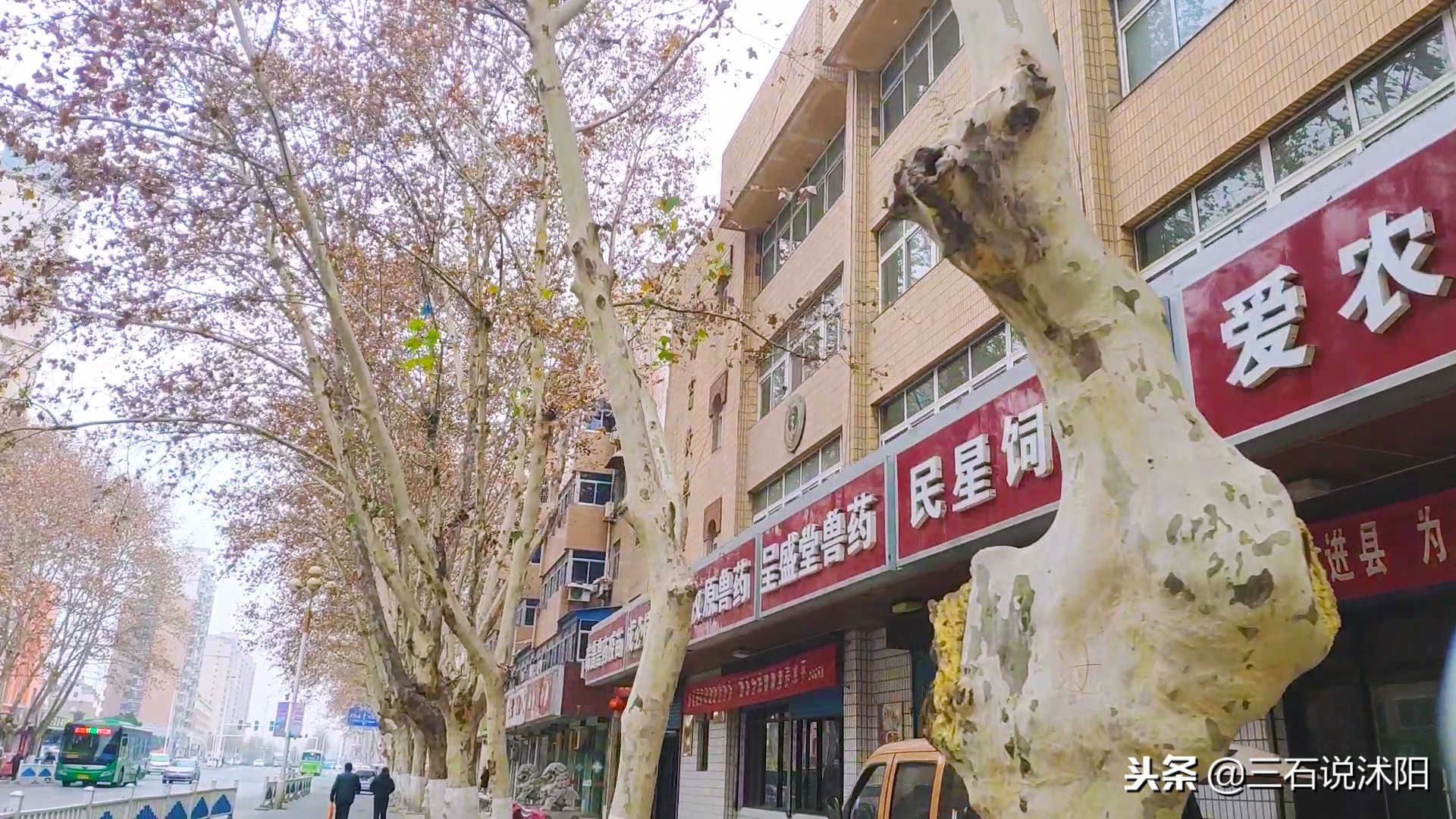 沭阳城市发展图片,沭阳南京路变化