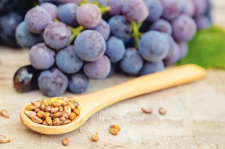 用绵羊油护肤皮肤竟如此水润饱满,莱蔻澳洲绵羊油多效水润嫩肤霜