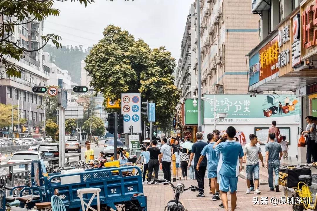 深圳空气中氡含量全国第一,深圳市负氧离子大概是多少