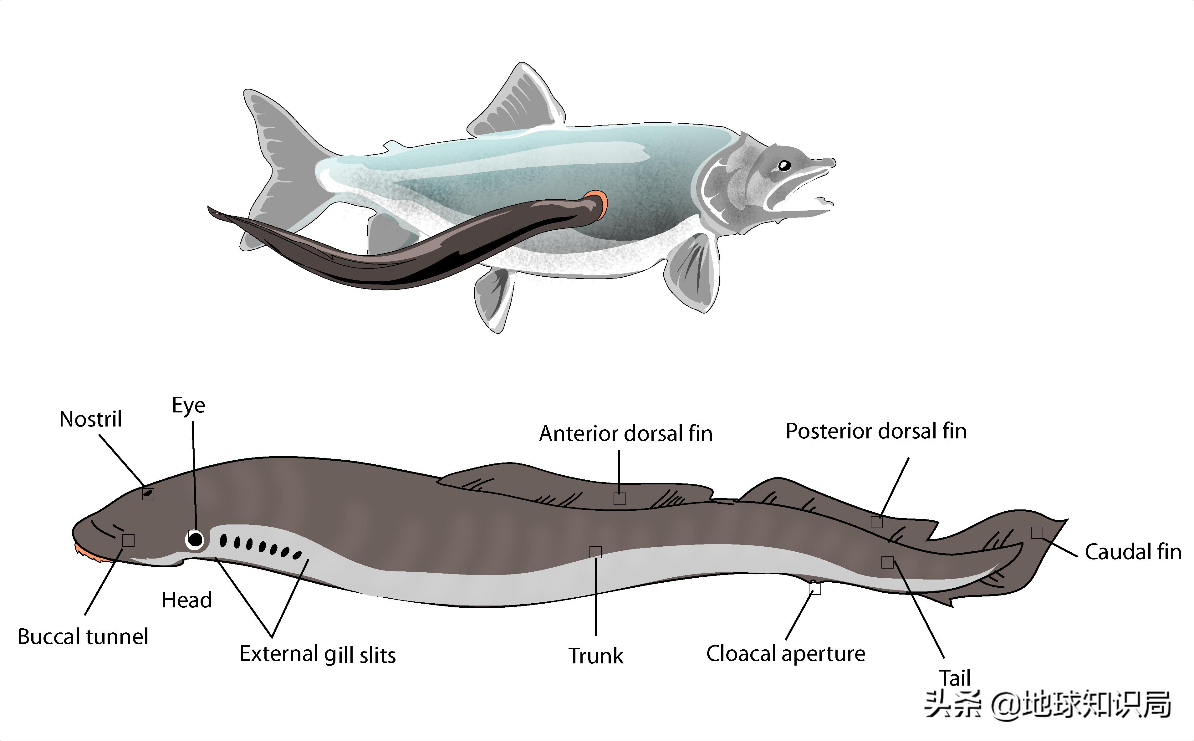 全球旅行攻略干货,全球旅行不为人知的秘密