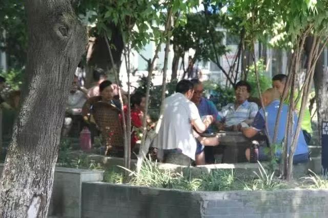 成都最有潜力的花园,成都是个大花园