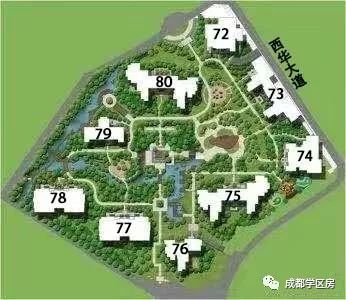 华侨城小学配套什么中学,华侨城对口小学