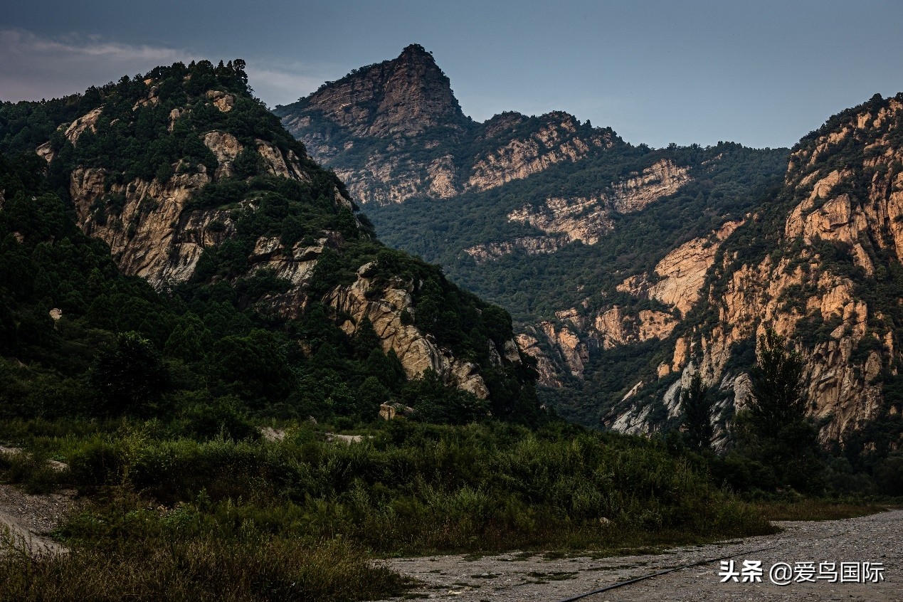 佳能eosr6详细参数曝光诚意满满,佳能发布新eosr6全画幅相机