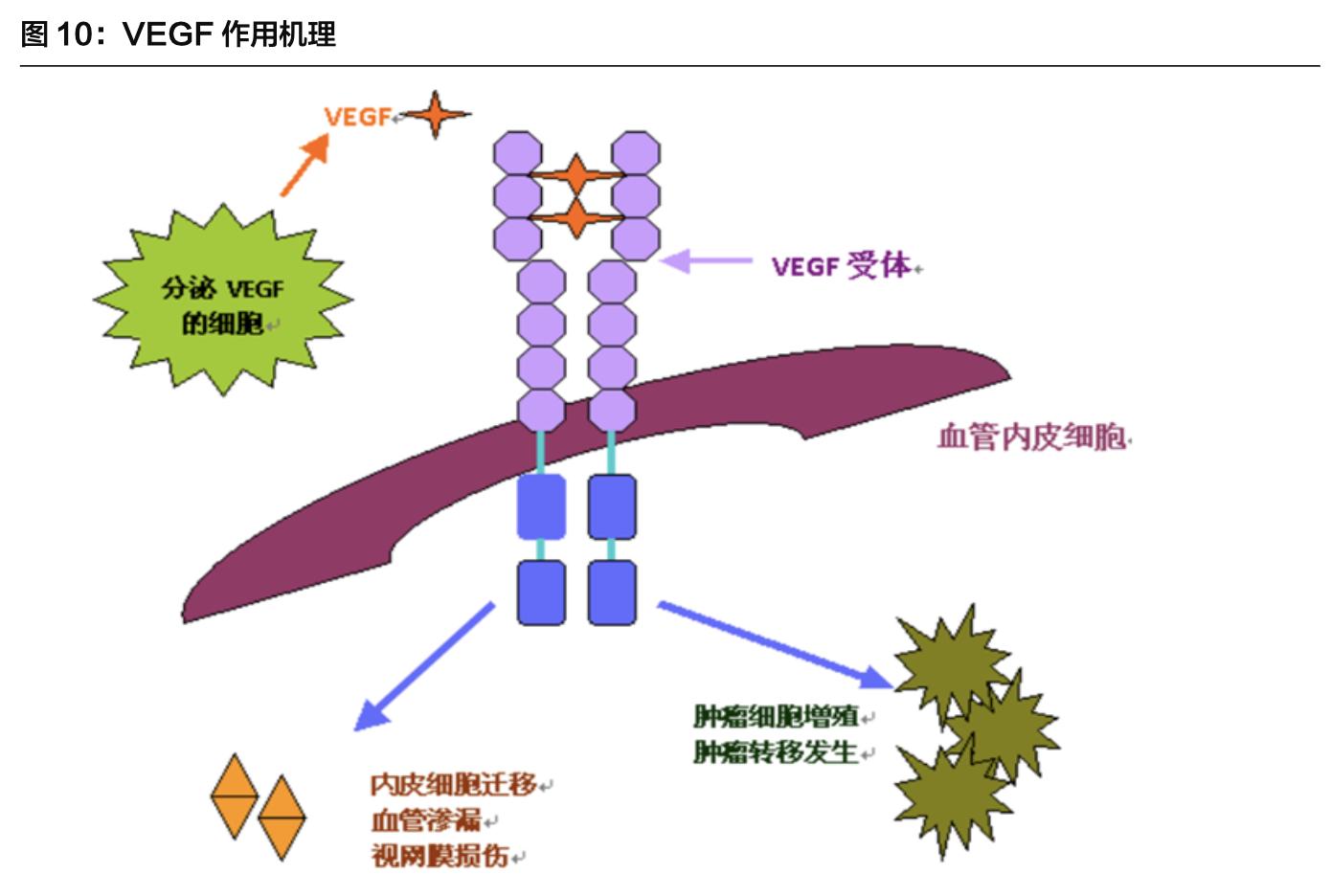 康弘药业除了康柏西普还有什么,康弘药业康柏西普代表待遇怎样