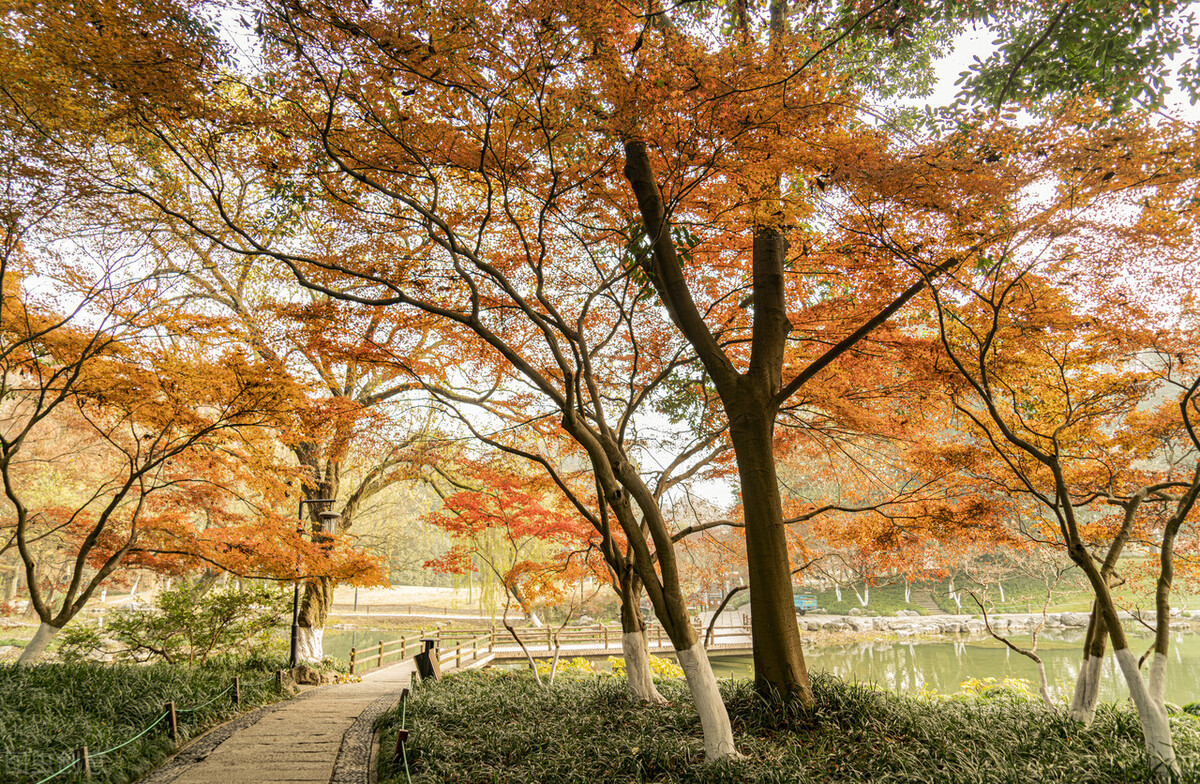 杭州游玩穷游必去景点攻略,杭州穷游攻略必去景点排名