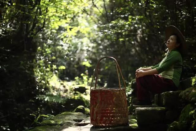 武夷山亲子民宿推荐独栋别墅,武夷山风景区民宿推荐价格表