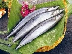 长江刀鱼与黄河刀鱼区别图片,长江刀鱼相似的鱼