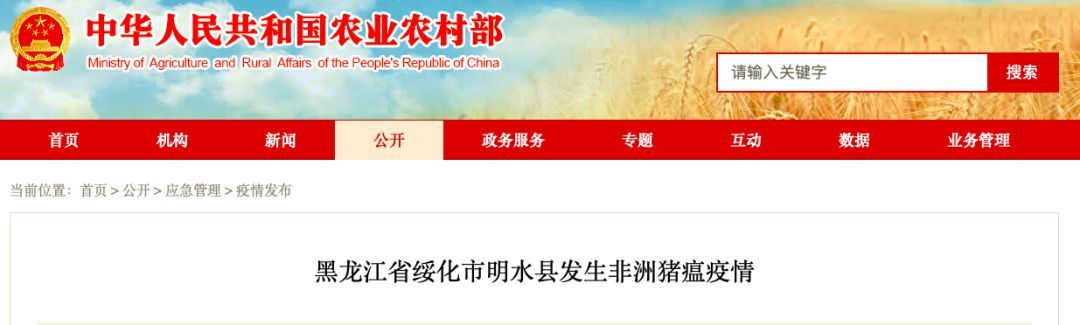 日本进口青提,日本原装进口青提