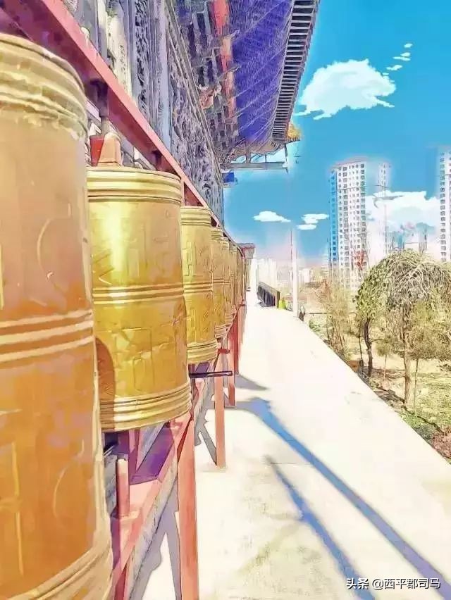 原来青海的历史还有这么多你不知道的秘密！