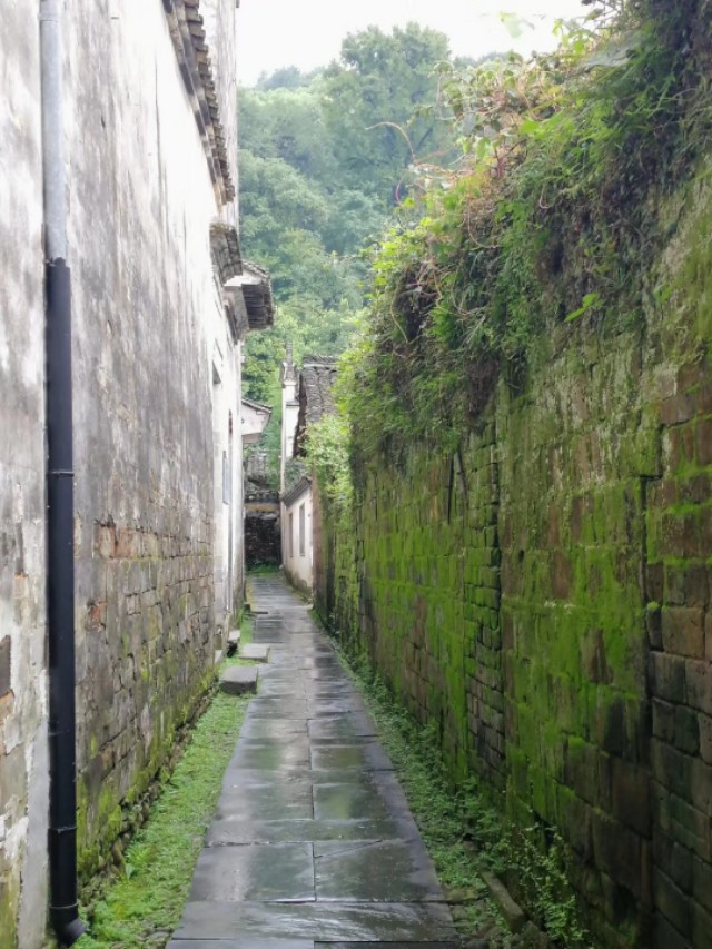 婺源5a江湾,婺源篁岭和江湾哪个更值得去旅游