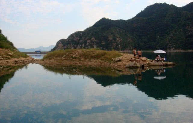 鱼为什么喜欢吃麦子,鱼为什么喜欢吃虾饵