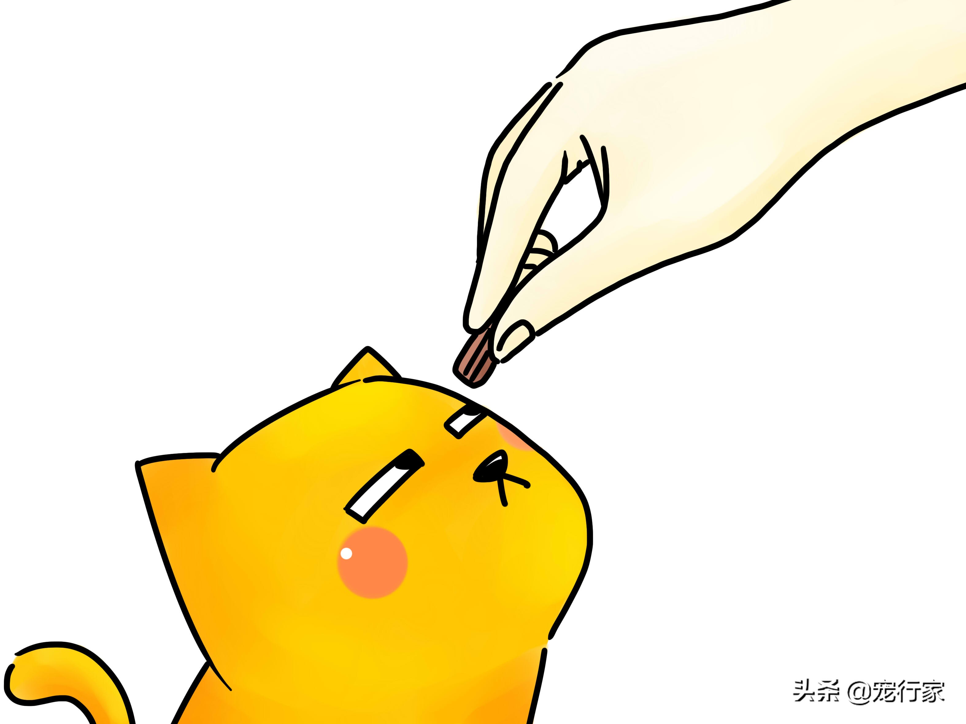 先天性失聪的猫咪能和猫咪交流吗,如何养一只耳聋的猫