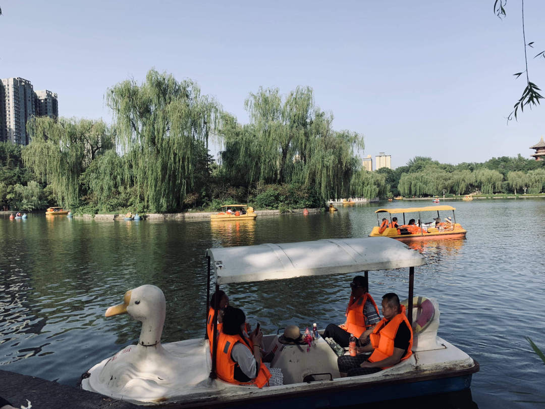 最美的西安兴庆公园,西安兴庆公园一道美丽的风景线