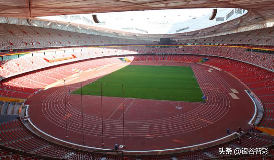 为什么鸟巢不能放在房间,鸟巢为什么不做成足球场