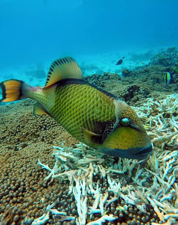 习惯独来独往的我愉快出发,结束3天自由行旅程