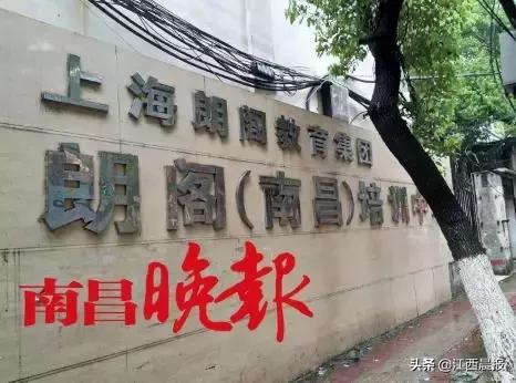 违规！通通被查！涉及南昌新东方、朗阁、学大教育