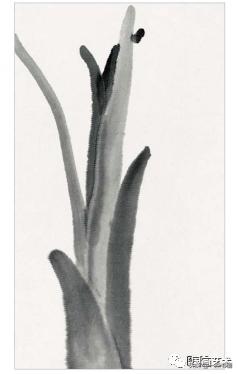 芭蕉叶画法教程,国画芭蕉画法视频