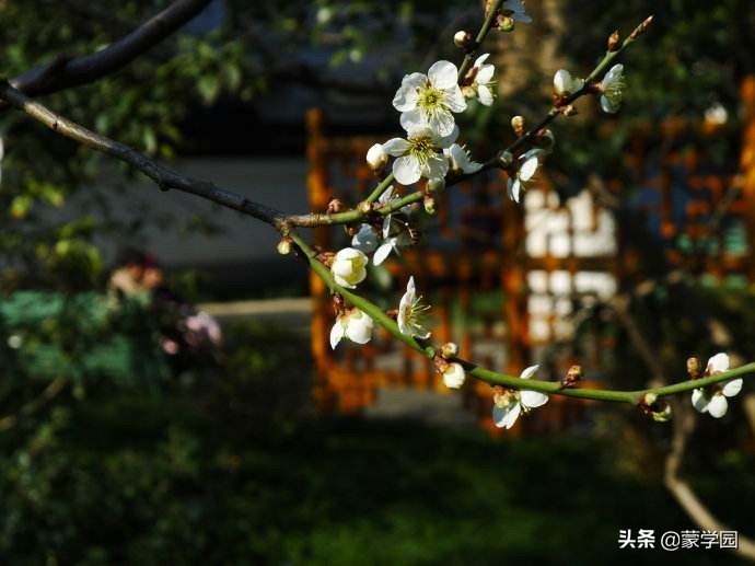 宋代经典七律古诗100首,宋代著名的七言律诗100首