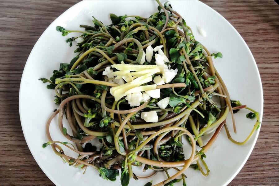 马齿苋不焯水凉拌方法,焯马齿苋放什么不酸