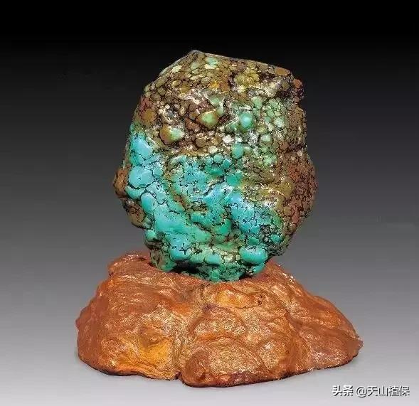 怎么捡到价值极高的石头,捡到一块石头价值千万