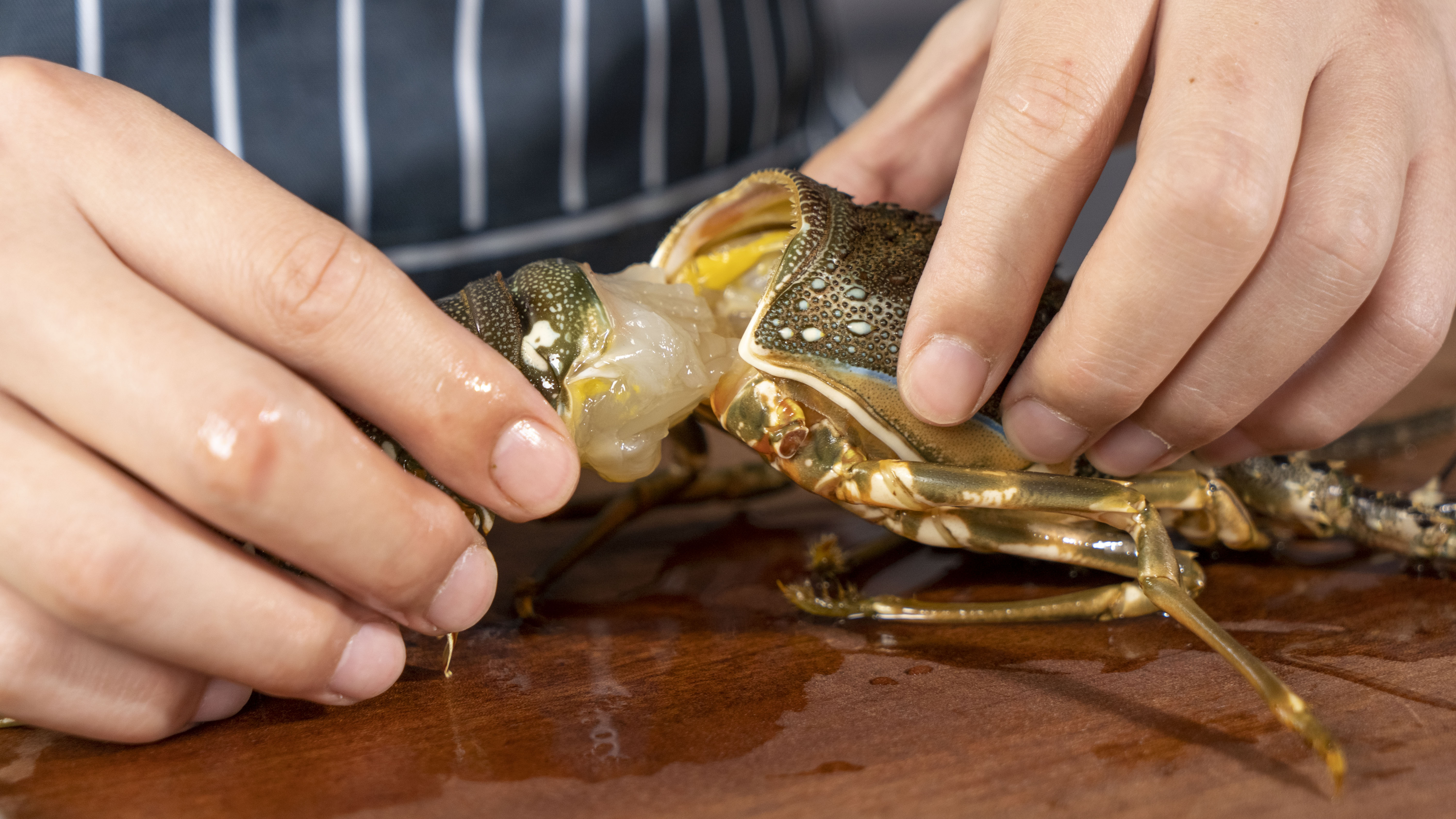 销量最好的三款嵌入式蒸烤一体机,嵌入式蒸烤一体机高性价比推荐