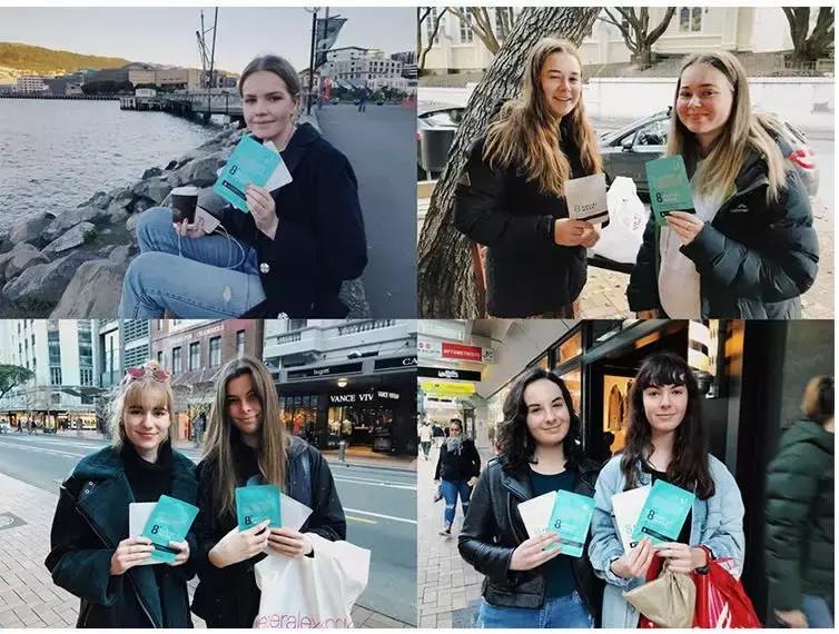 新西兰8分钟面膜三种颜色的功效,新西兰好的面膜