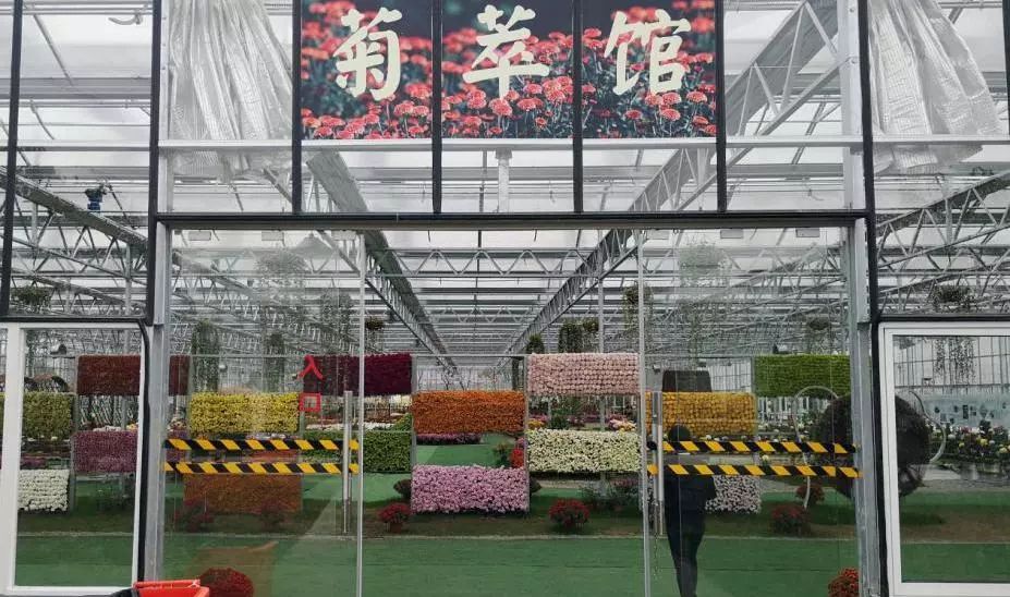 转发此推文,享绍兴平水海丰菊园半价票,更更更送自采菊花一束