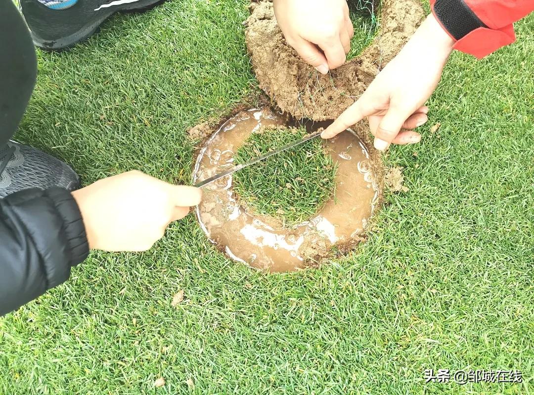 邹城体育场是标准足球场么,邹城市体育馆足球比赛时间