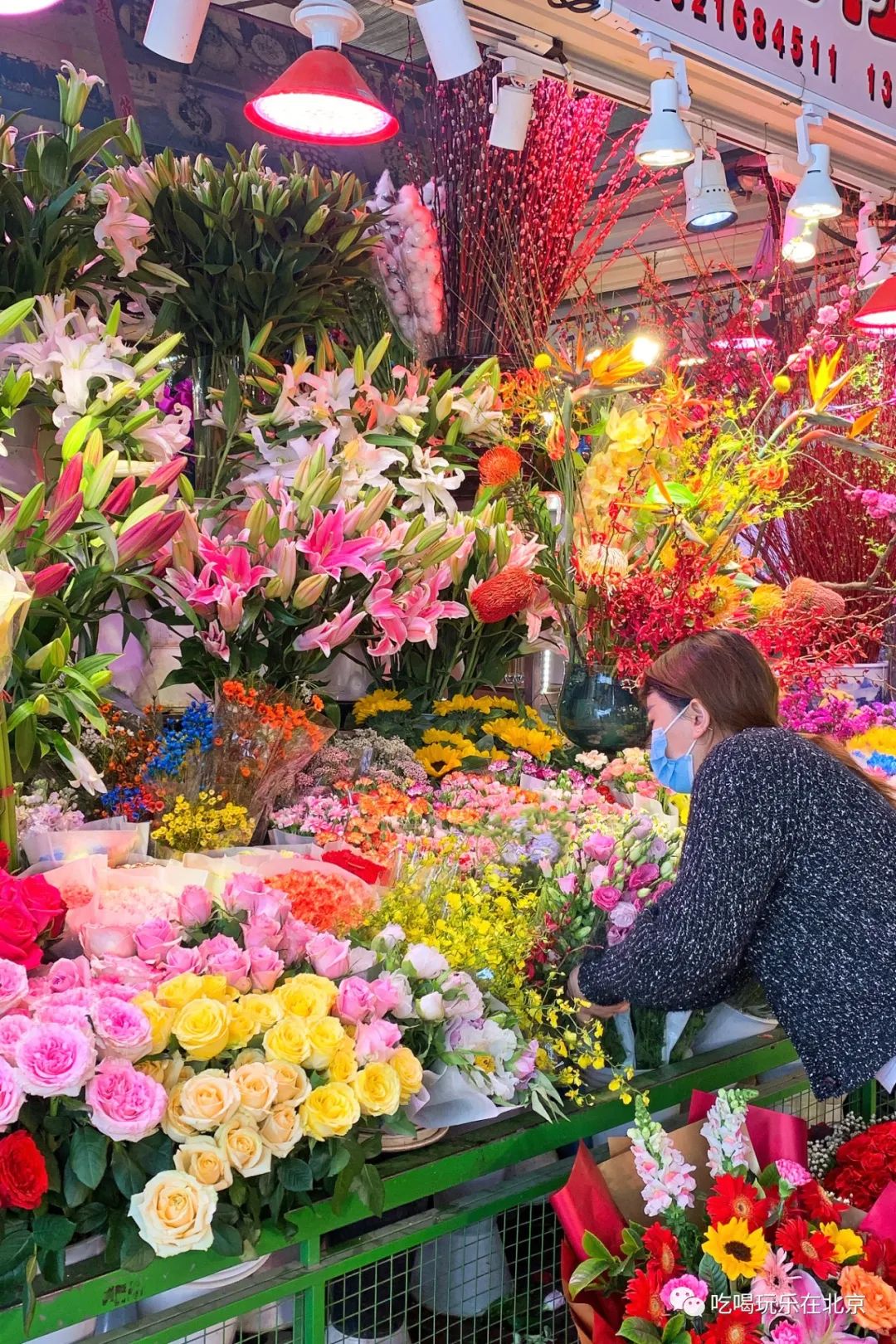 北京花市攻略大全,北京最美赏花景点