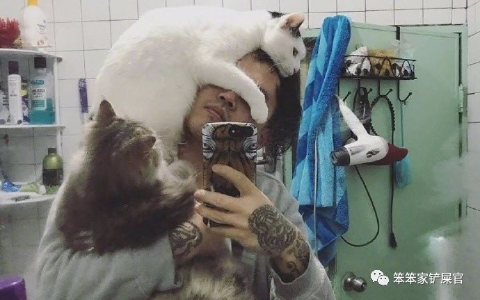 猫咪打架被打得眼睛都睁不开,猫咪打架又打到主人