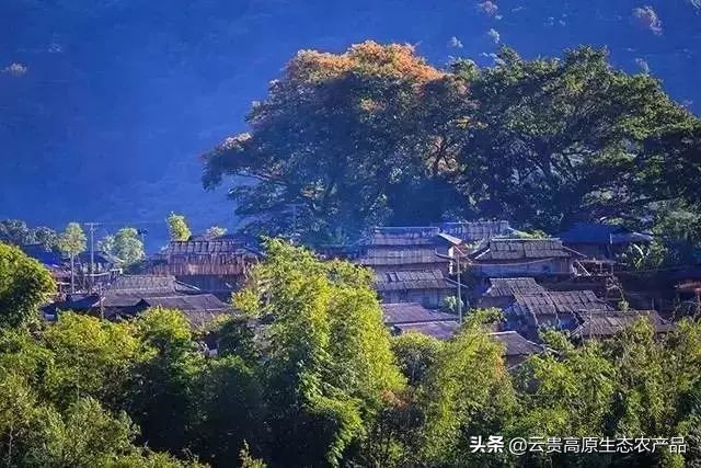 沧源——一座遗世独立的边陲小城