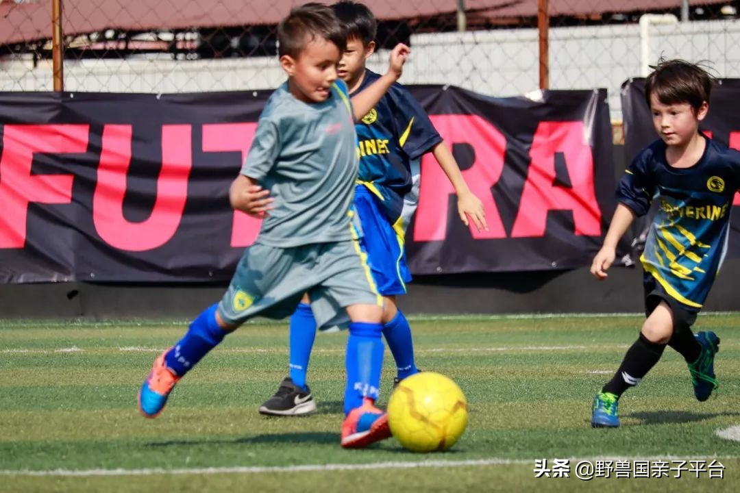 把意大利的足球理念带到中国,把意大利先进的足球理念带到中国