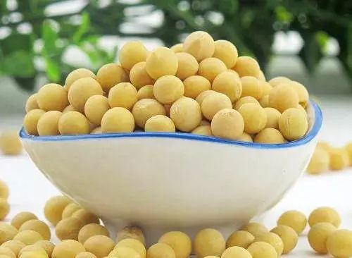 吃黄豆对脂溢性脱发有好处吗,预防大作战