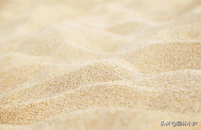 如何用鲜花制作干花而不凋零,鲜花晾干后怎么制作干花和保存