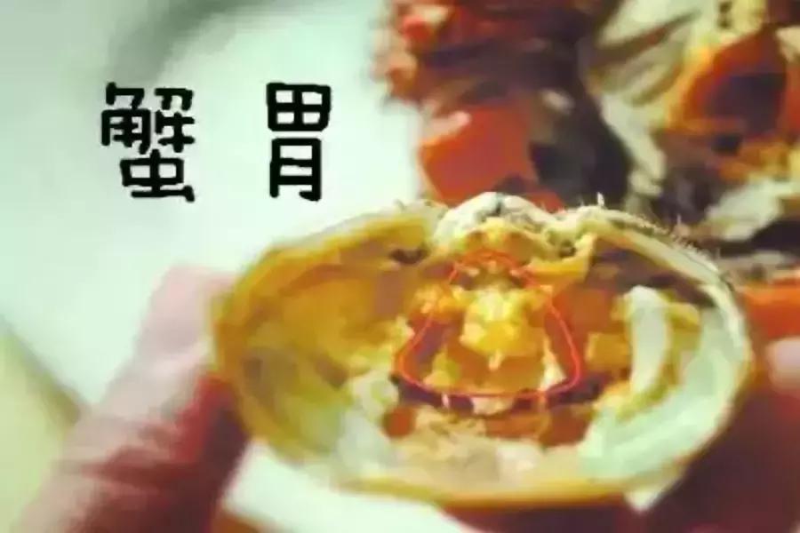 金秋蟹吃多了会怎样,毛蟹与哪些食物不能一起吃