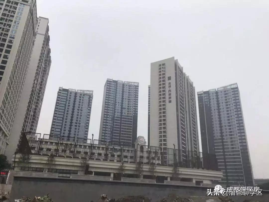 石笋街和茶店子小学怎么选,茶店子小学vs石笋街小学选哪个