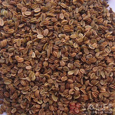 十大止痒中草药蛇床子用量,中药蛇床子的功效和主治是什么