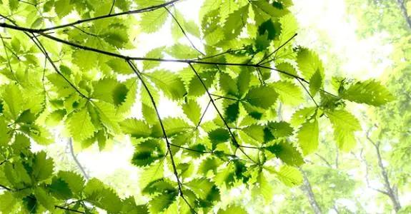 锦州新闻频道今天,锦州晚间新闻