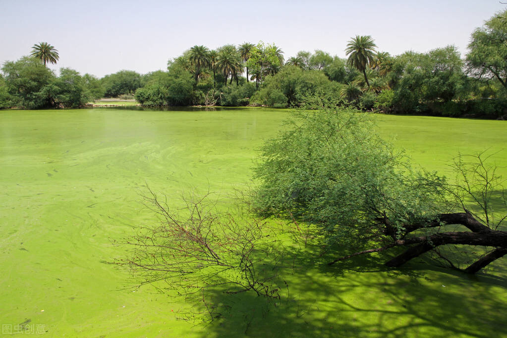 迪奥品牌背后的唯美故事,迪奥最开始的样子