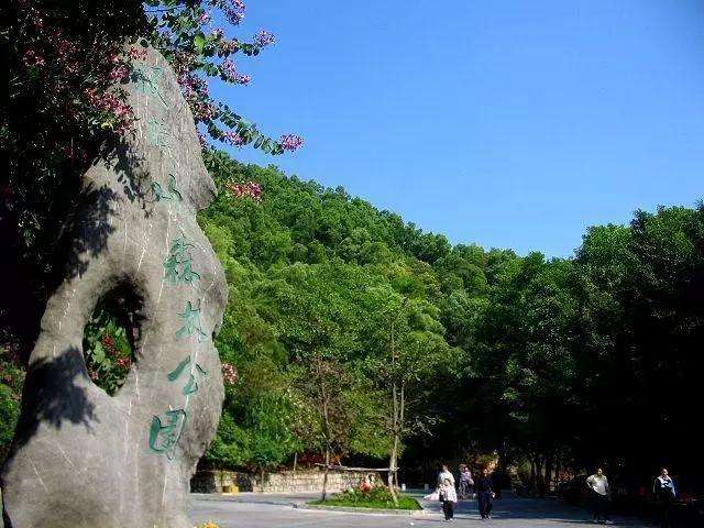 珠海最多山的十个地方,珠海最美景点排行榜