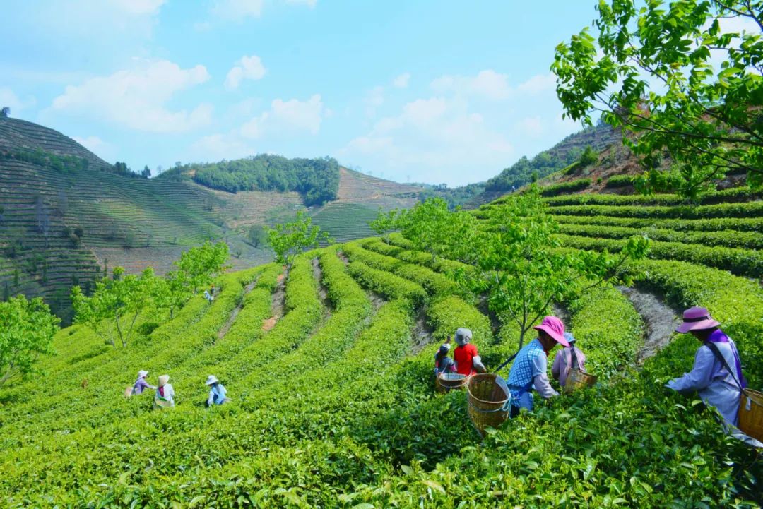 这是一个充满生机的公园怎么说,这是一个充满生机的国度朗诵