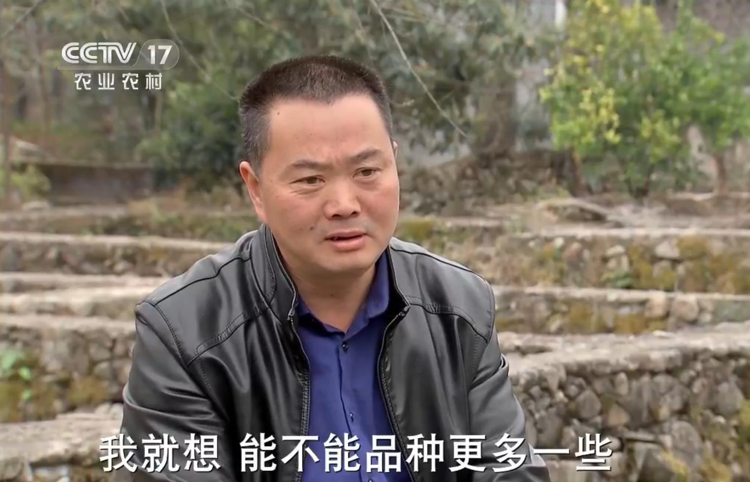 40岁大叔放弃500万产业养鱼,45岁养鱼年入1000万