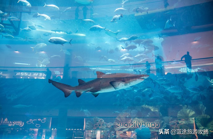 去迪拜不能错过的十件事,去迪拜必须体验的十件事